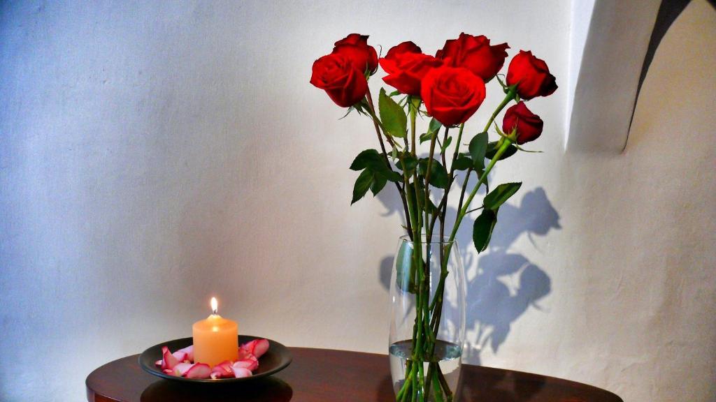 Casa De Las Rosas Куенка Екстериор снимка