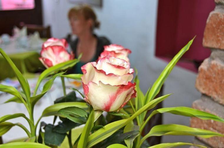 Casa De Las Rosas Куенка Стая снимка